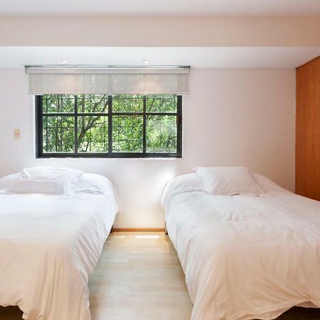 Lovely Apartment Ahuehuetes Мехіко Екстер'єр фото