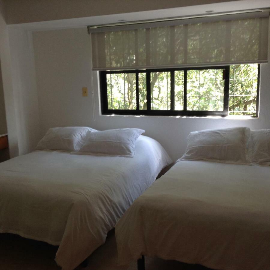 Lovely Apartment Ahuehuetes Мехіко Екстер'єр фото