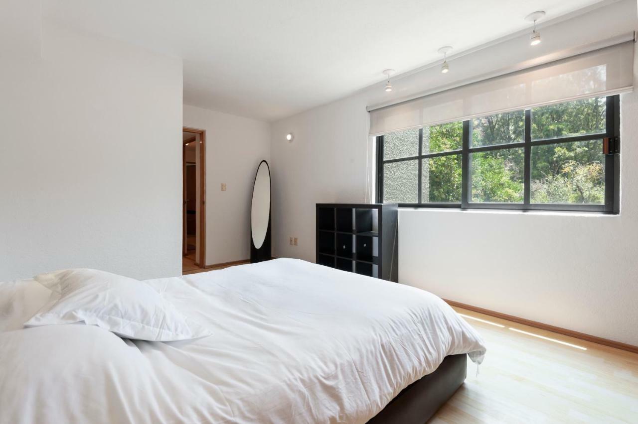 Lovely Apartment Ahuehuetes Мехіко Екстер'єр фото
